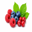 Berries